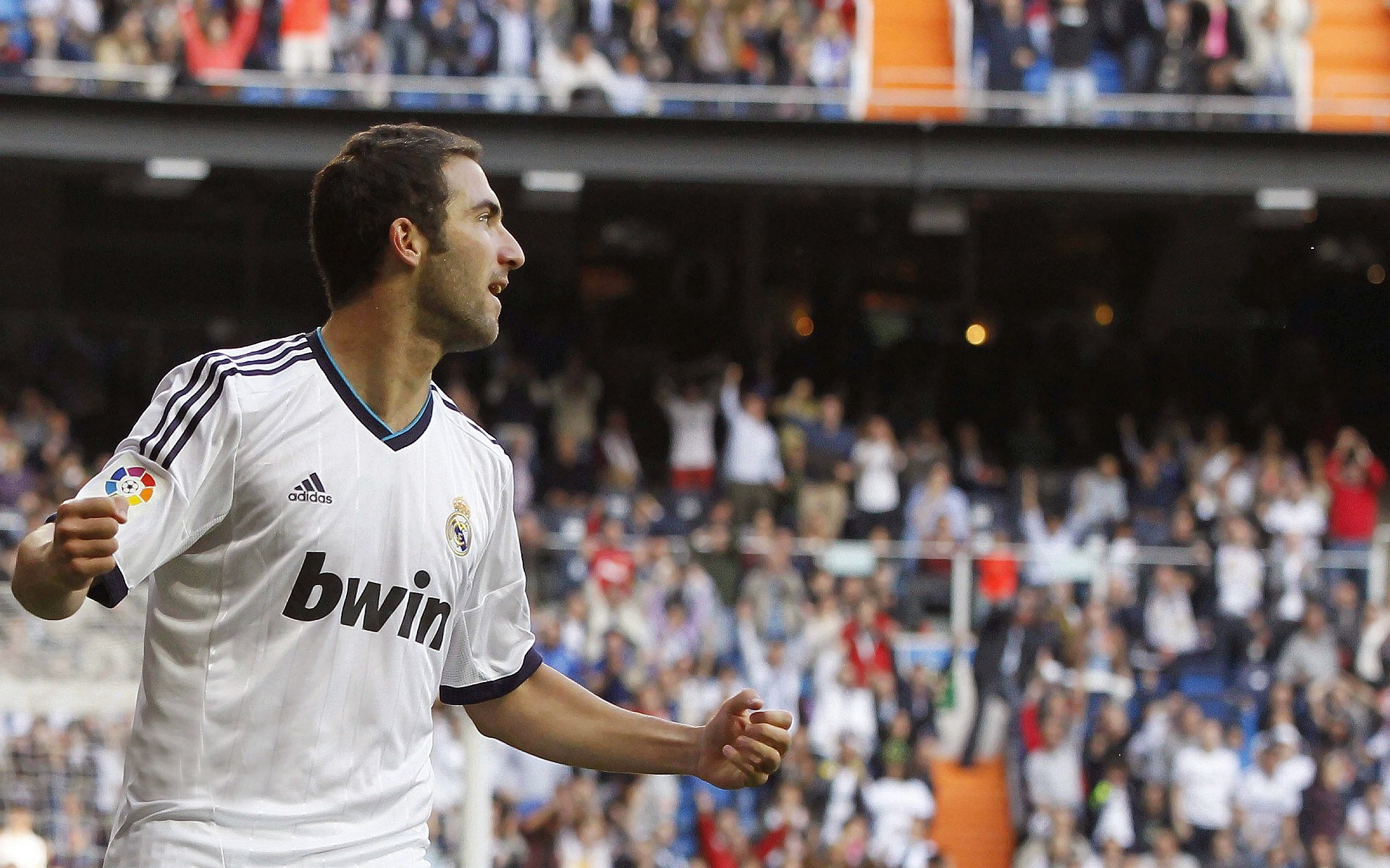 “南非羚羊队的未来：萨尔·巴赫能否带队迎接辉煌？”